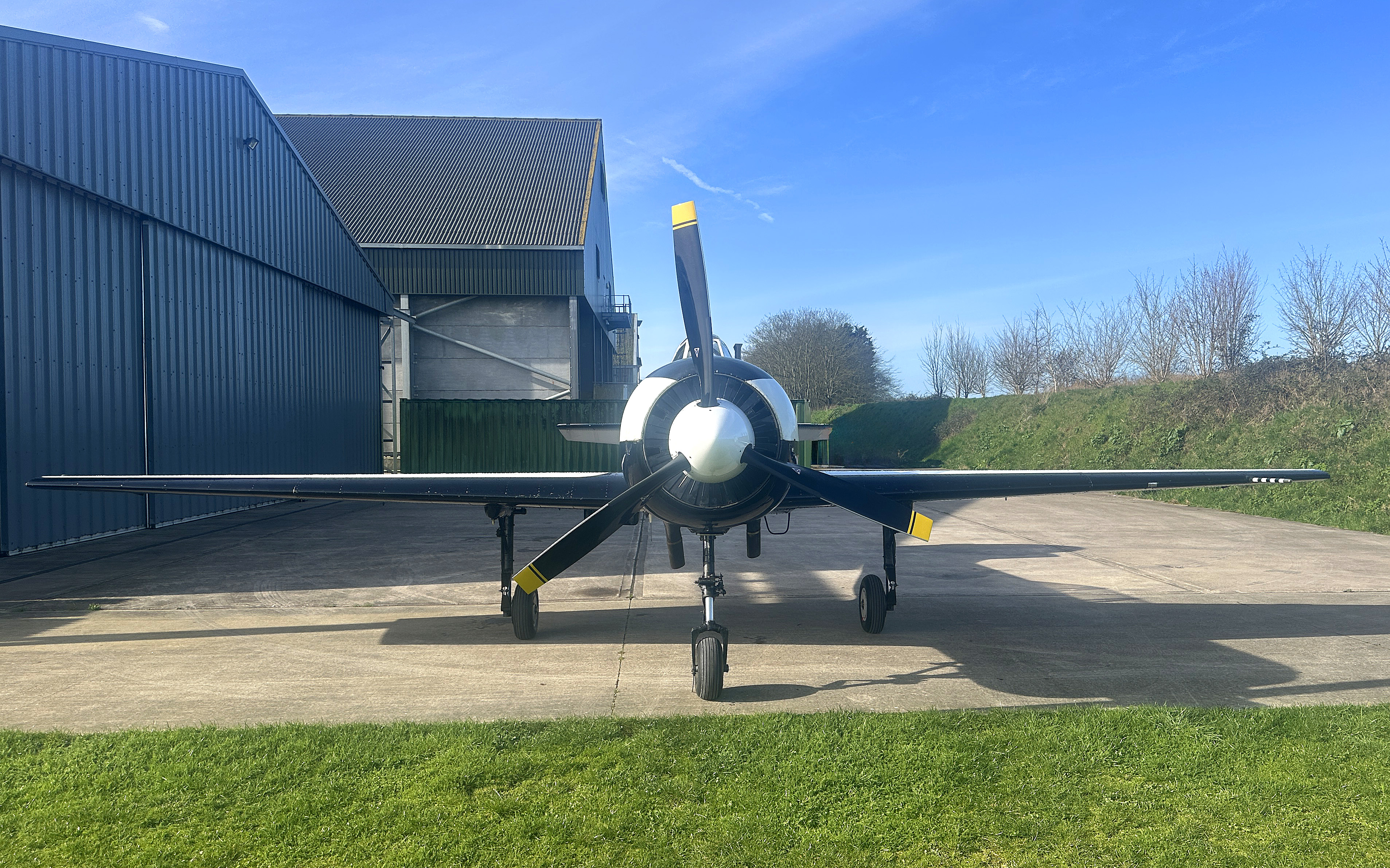 1981 Yakovlev YAK 52 M14PF 400 hp, photo 11